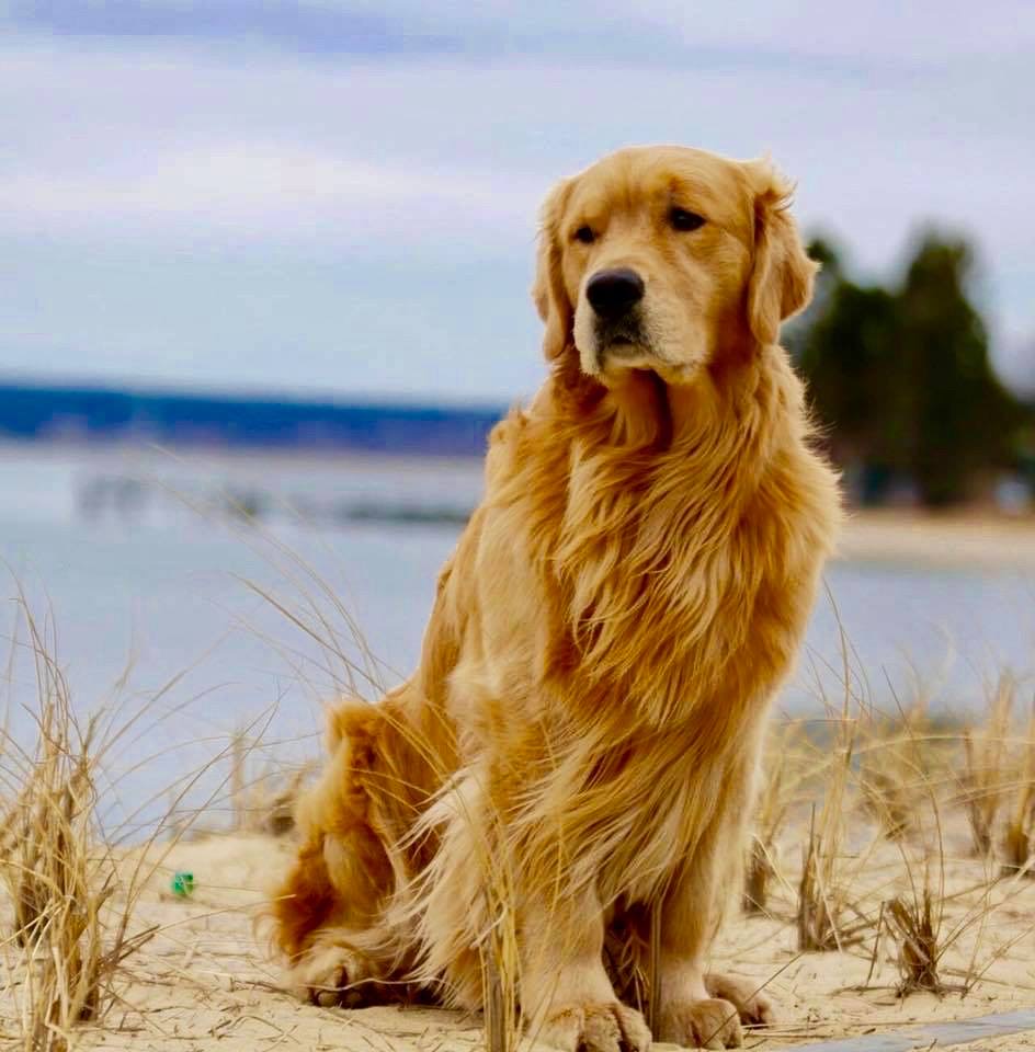 MysticBeach