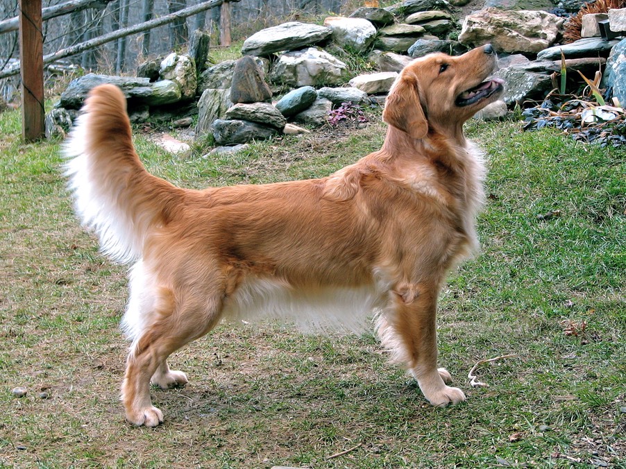Bridget standing